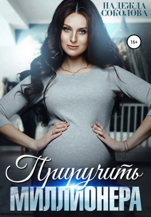 Приручить миллионера - Надежда Соколова - современные аудиокниги попаданцы мр3 слушать на лучшем сайте booksaudio-online.com