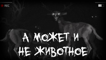 А может и не животное - Автор неизвестен - современные аудиокниги попаданцы мр3 слушать на лучшем сайте booksaudio-online.com