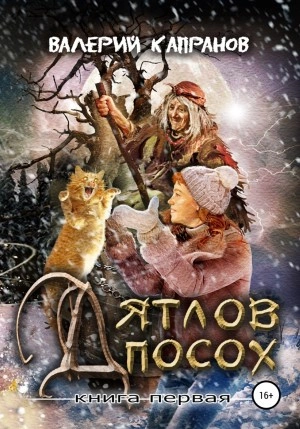 Дятлов Посох. Книга первая - Валерий Капранов - современные аудиокниги попаданцы мр3 слушать на лучшем сайте booksaudio-online.com