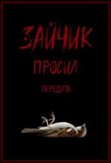 Зайчик просил передать - Арина Ностаева - современные аудиокниги попаданцы мр3 слушать на лучшем сайте booksaudio-online.com