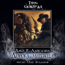 Дорога мертвеца - Джо Р. Лансдейл - современные аудиокниги попаданцы мр3 слушать на лучшем сайте booksaudio-online.com