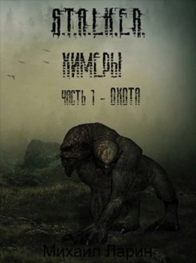 S.T.A.L.K.E.R. Охота - Михаил Ларин - современные аудиокниги попаданцы мр3 слушать на лучшем сайте booksaudio-online.com