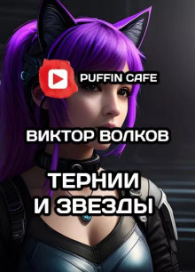 Тернии и Звёзды - Виктор Волков - современные аудиокниги попаданцы мр3 слушать на лучшем сайте booksaudio-online.com