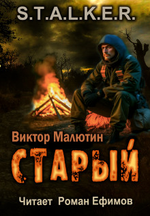 S.T.A.L.K.E.R. Старый - Виктор Малютин - современные аудиокниги попаданцы мр3 слушать на лучшем сайте booksaudio-online.com