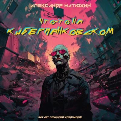 Что-то на киберпанковском - Александр Матюхин - современные аудиокниги попаданцы мр3 слушать на лучшем сайте booksaudio-online.com