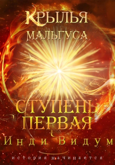 Ступень первая - Инди Видум - современные аудиокниги попаданцы мр3 слушать на лучшем сайте booksaudio-online.com