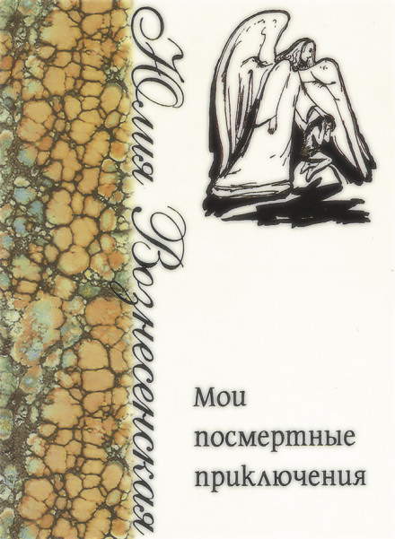 Мои посмертные приключения - Юлия Вознесенская - современные аудиокниги попаданцы мр3 слушать на лучшем сайте booksaudio-online.com