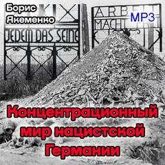 Курс лекций "Концентрационный мир нацистской Германии" - Борис Якеменко - современные аудиокниги попаданцы мр3 слушать на лучшем сайте booksaudio-online.com