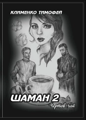 Два шамана - Тимофей Клименко - современные аудиокниги попаданцы мр3 слушать на лучшем сайте booksaudio-online.com
