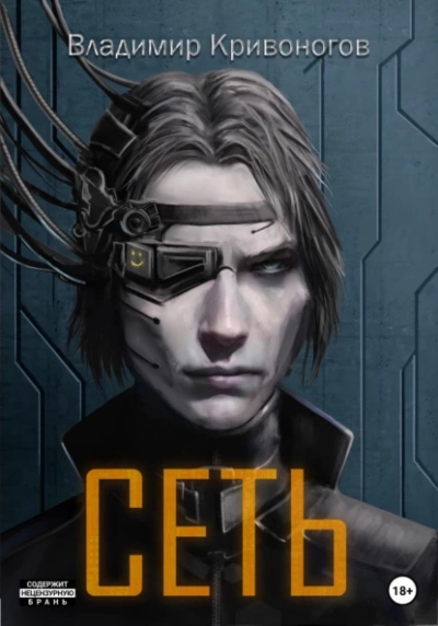 Сеть. Трилогия - Владимир Кривоногов - современные аудиокниги попаданцы мр3 слушать на лучшем сайте booksaudio-online.com