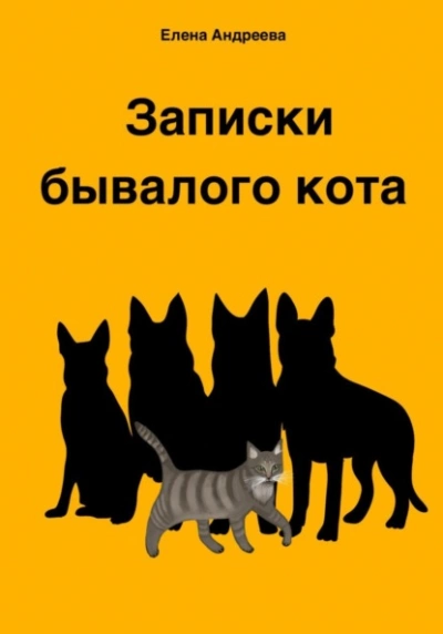 Записки бывалого кота - Елена Андреева - современные аудиокниги попаданцы мр3 слушать на лучшем сайте booksaudio-online.com
