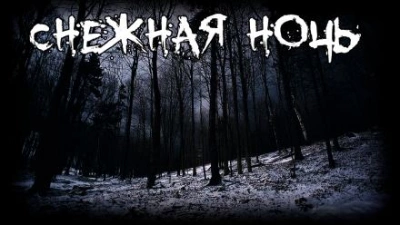 Снежная ночь - Вариор - современные аудиокниги попаданцы мр3 слушать на лучшем сайте booksaudio-online.com