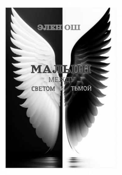 Малыш. Между светом и тьмой - Элен Ош - современные аудиокниги попаданцы мр3 слушать на лучшем сайте booksaudio-online.com