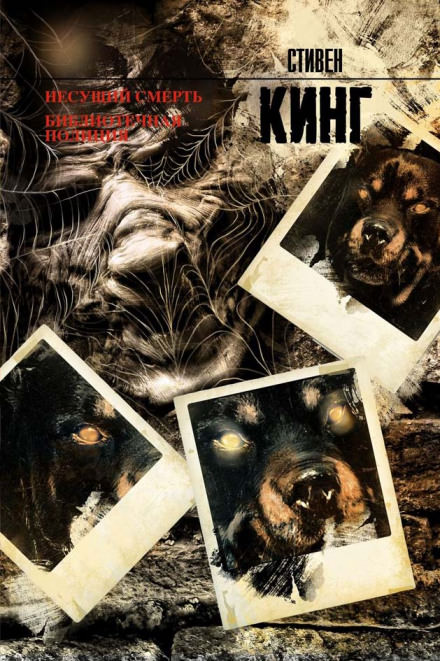 Полицейский из библиотеки - Стивен Кинг - современные аудиокниги попаданцы мр3 слушать на лучшем сайте booksaudio-online.com