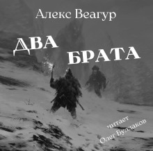 Два брата - Автор неизвестен - современные аудиокниги попаданцы мр3 слушать на лучшем сайте booksaudio-online.com