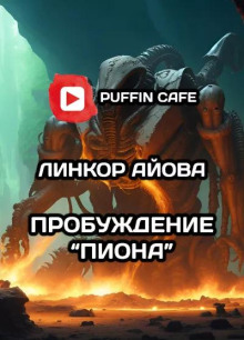 Пробуждение "Пиона" - Линкор Айова - современные аудиокниги попаданцы мр3 слушать на лучшем сайте booksaudio-online.com