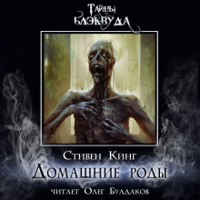 Домашние роды - Стивен Кинг - современные аудиокниги попаданцы мр3 слушать на лучшем сайте booksaudio-online.com