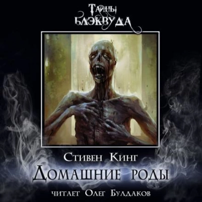 Домашние роды - Стивен Кинг - современные аудиокниги попаданцы мр3 слушать на лучшем сайте booksaudio-online.com