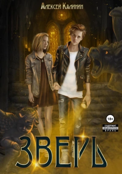Зверь - Алексей Калинин - современные аудиокниги попаданцы мр3 слушать на лучшем сайте booksaudio-online.com