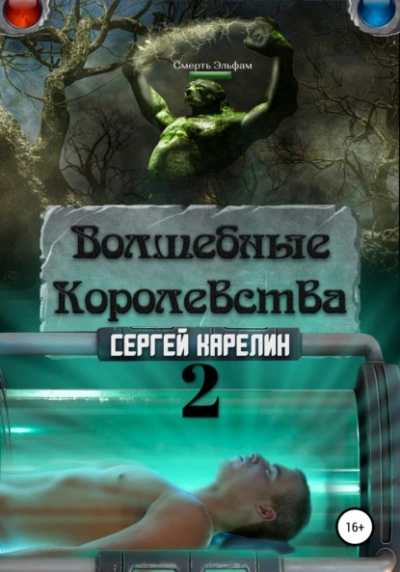 Волшебные Королевства 2 - Сергей Карелин - современные аудиокниги попаданцы мр3 слушать на лучшем сайте booksaudio-online.com