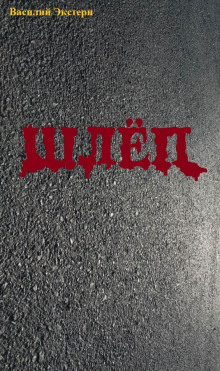 Шлёп - Василий Экстерн - современные аудиокниги попаданцы мр3 слушать на лучшем сайте booksaudio-online.com