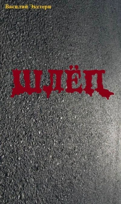 Шлёп - Василий Экстерн - современные аудиокниги попаданцы мр3 слушать на лучшем сайте booksaudio-online.com