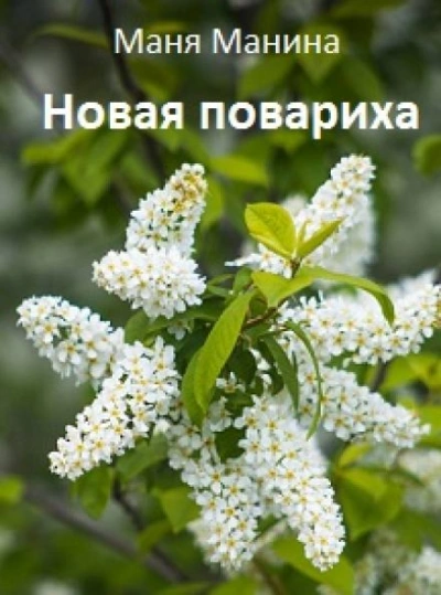 Новая повариха - Маня Манина - современные аудиокниги попаданцы мр3 слушать на лучшем сайте booksaudio-online.com