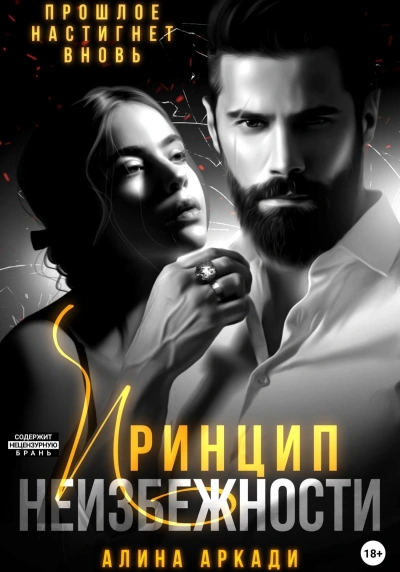 Принцип неизбежности - Алина Аркади - современные аудиокниги попаданцы мр3 слушать на лучшем сайте booksaudio-online.com