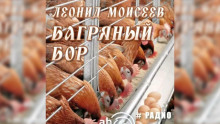 Багряный бор - Леонид Моисеев - современные аудиокниги попаданцы мр3 слушать на лучшем сайте booksaudio-online.com