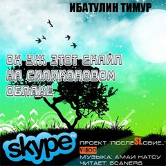 Ох уж этот скайп на силиконовом облаке - современные аудиокниги попаданцы мр3 слушать на лучшем сайте booksaudio-online.com