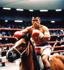 Братья наши маленькие филиппинцы - Уильям Сароян - современные аудиокниги попаданцы мр3 слушать на лучшем сайте booksaudio-online.com