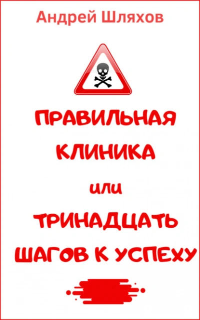 Правильная клиника, или 13 шагов к успеху - Андрей Шляхов - современные аудиокниги попаданцы мр3 слушать на лучшем сайте booksaudio-online.com