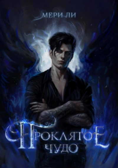 Проклятое чудо - Мери Ли - современные аудиокниги попаданцы мр3 слушать на лучшем сайте booksaudio-online.com