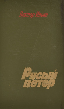 Русый ветер - Виктор Ильин - современные аудиокниги попаданцы мр3 слушать на лучшем сайте booksaudio-online.com