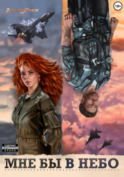 Мне бы в небо - Джэки Иоки - современные аудиокниги попаданцы мр3 слушать на лучшем сайте booksaudio-online.com