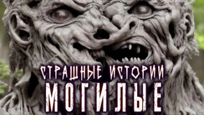 Могилые - Пучок Перцепций - современные аудиокниги попаданцы мр3 слушать на лучшем сайте booksaudio-online.com