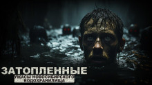 Затопленные - Роман Чёрный - современные аудиокниги попаданцы мр3 слушать на лучшем сайте booksaudio-online.com