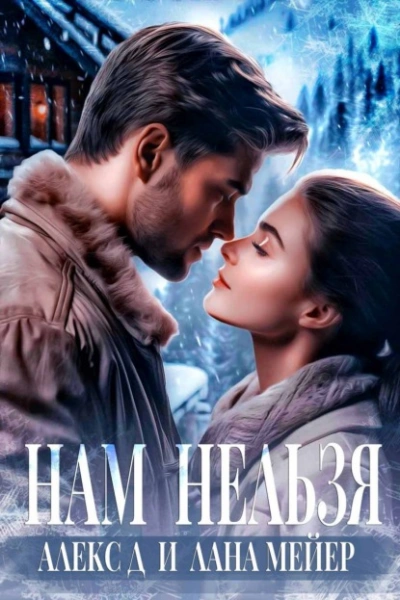 Нам нельзя - Алекс Д., Лана Мейер - современные аудиокниги попаданцы мр3 слушать на лучшем сайте booksaudio-online.com
