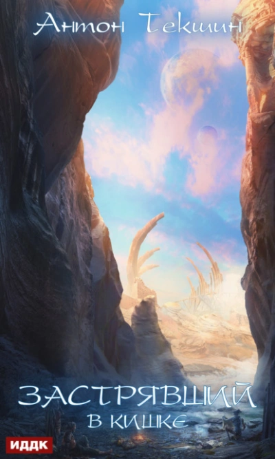Застрявший в Кишке - Антон Текшин - современные аудиокниги попаданцы мр3 слушать на лучшем сайте booksaudio-online.com