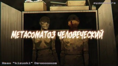 Метасоматоз человеческий - Иван Овчинников - современные аудиокниги попаданцы мр3 слушать на лучшем сайте booksaudio-online.com