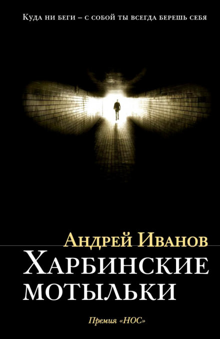 Харбинские мотыльки - Андрей Иванов - современные аудиокниги попаданцы мр3 слушать на лучшем сайте booksaudio-online.com