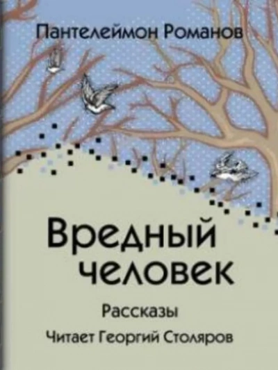 Вредный человек - Пантелеймон Романов - современные аудиокниги попаданцы мр3 слушать на лучшем сайте booksaudio-online.com