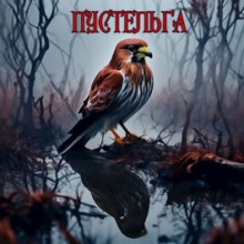 Пустельга - Михаил Чёрный - современные аудиокниги попаданцы мр3 слушать на лучшем сайте booksaudio-online.com