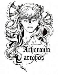 Подъёмная сила - Анна Дербенева - современные аудиокниги попаданцы мр3 слушать на лучшем сайте booksaudio-online.com