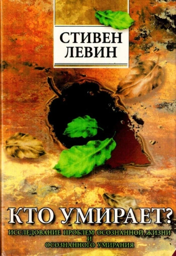 Кто умирает? - Стивен Левин - современные аудиокниги попаданцы мр3 слушать на лучшем сайте booksaudio-online.com