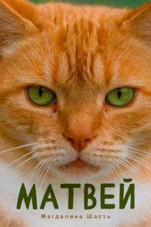 Матвей - Магдалина Шасть - современные аудиокниги попаданцы мр3 слушать на лучшем сайте booksaudio-online.com