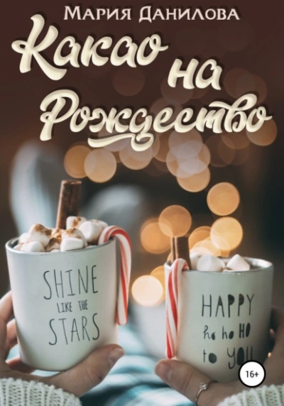 Какао на рождество - Мария Данилова - современные аудиокниги попаданцы мр3 слушать на лучшем сайте booksaudio-online.com