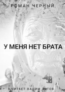У меня нет брата - Роман Чёрный - современные аудиокниги попаданцы мр3 слушать на лучшем сайте booksaudio-online.com