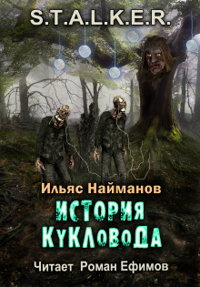 S.T.A.L.K.E.R. История Кукловода - Ильяс Найманов - современные аудиокниги попаданцы мр3 слушать на лучшем сайте booksaudio-online.com