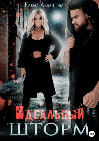 Идеальный шторм - Елена Левашова - современные аудиокниги попаданцы мр3 слушать на лучшем сайте booksaudio-online.com